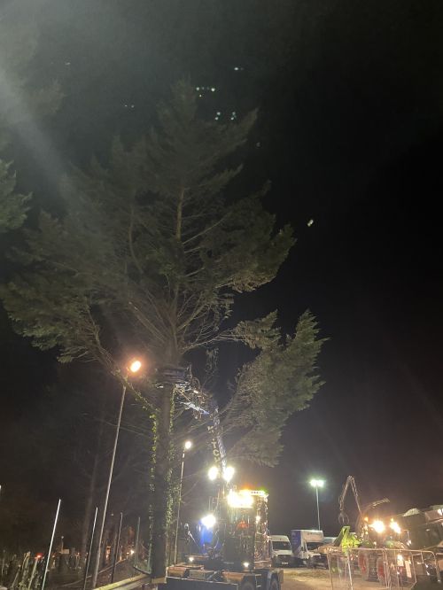 Click Here To Enlarge This Photo Of by Will Rawson